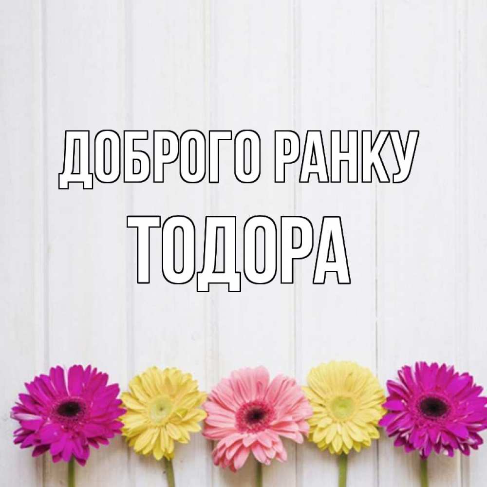 Открытка на каждый день з підписом, Тодора Доброго ранку красный желтый и розовый цветок Прикольна листівка з побажанням онлайн скачати безкоштовно 