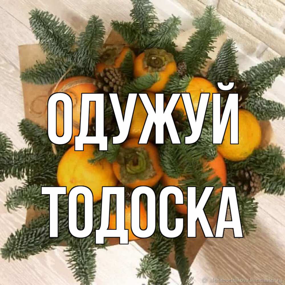 Открытка на каждый день з підписом, Тодоска Одужуй апельсины и хурьма Прикольна листівка з побажанням онлайн скачати безкоштовно 