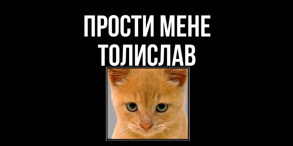 Открытка на каждый день з підписом, Толислав Прости мене рыжий грустный кот просит прощения Прикольна листівка з побажанням онлайн скачати безкоштовно 