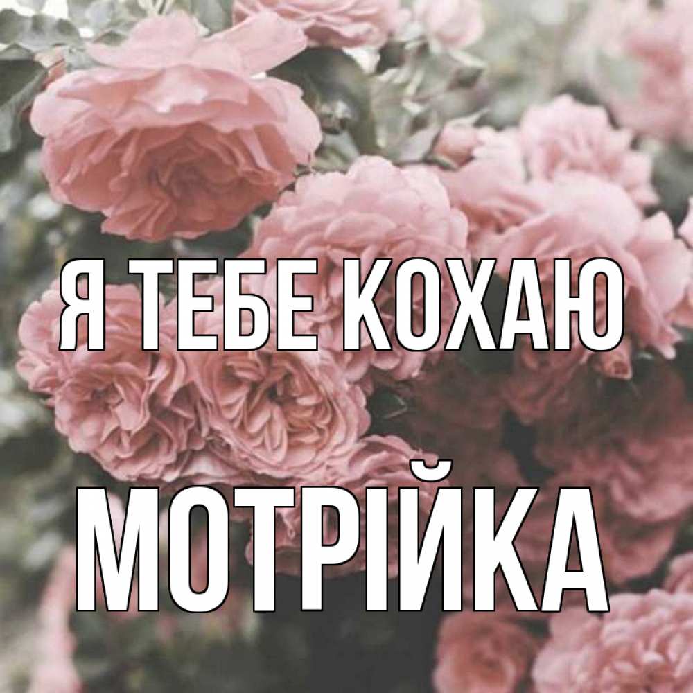 Открытка на каждый день з підписом, Мотрійка Я тебе кохаю розы 3 Прикольна листівка з побажанням онлайн скачати безкоштовно 