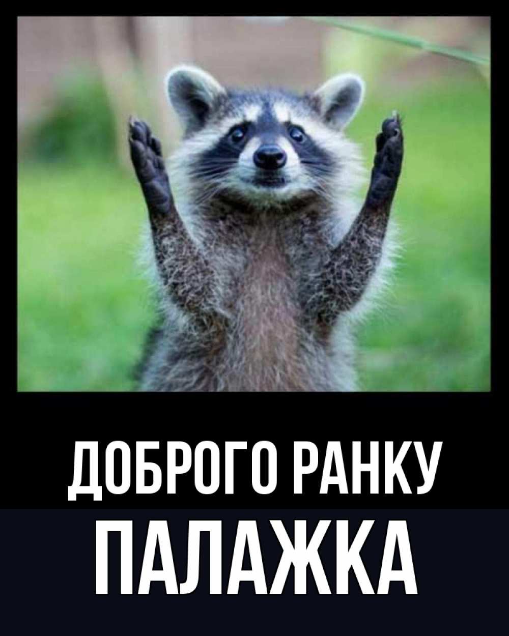 Открытка на каждый день з підписом, Палажка Доброго ранку хорошее настроение утречком Прикольна листівка з побажанням онлайн скачати безкоштовно 