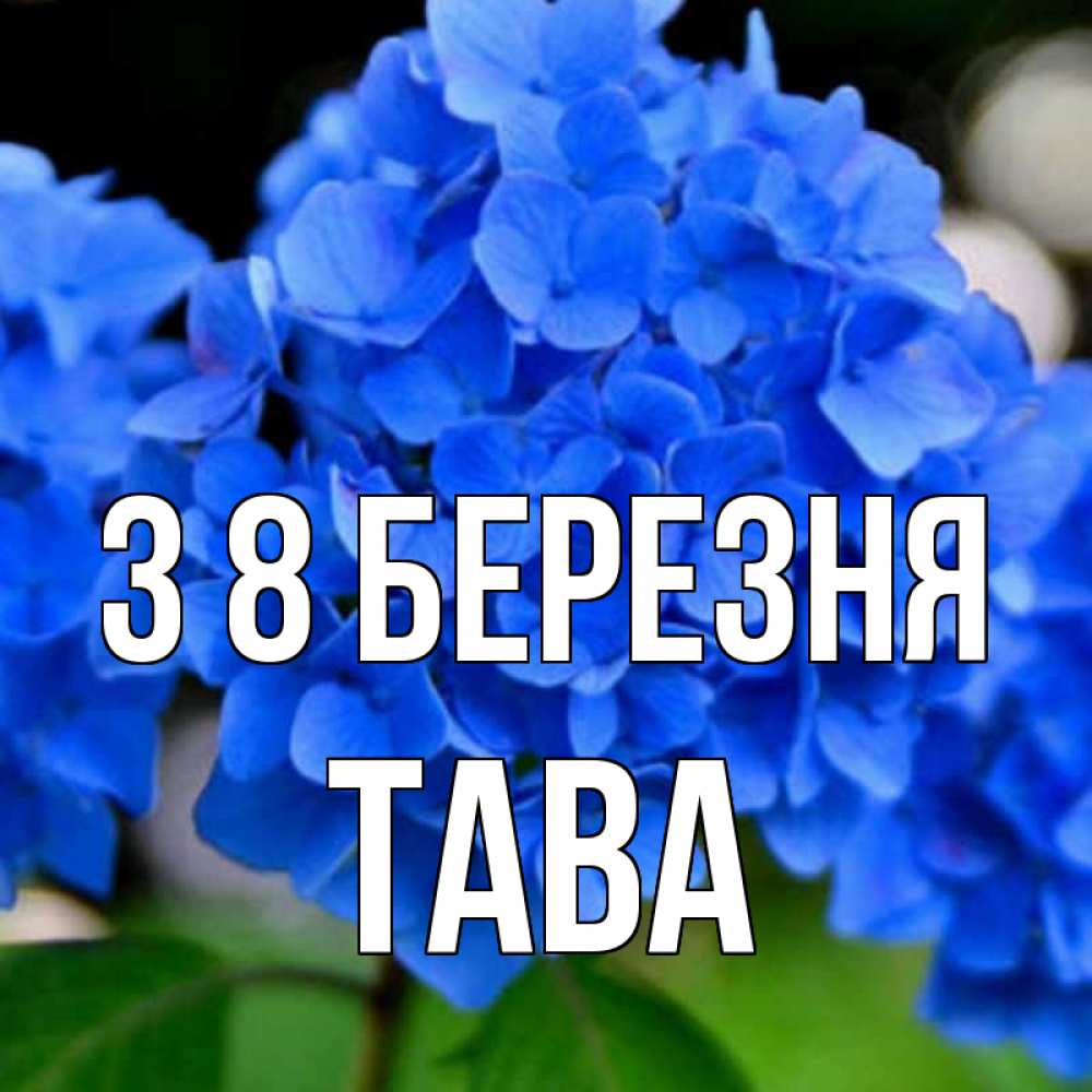 Открытка на каждый день з підписом, Тава З 8 БЕРЕЗНЯ синие цветы Прикольна листівка з побажанням онлайн скачати безкоштовно 