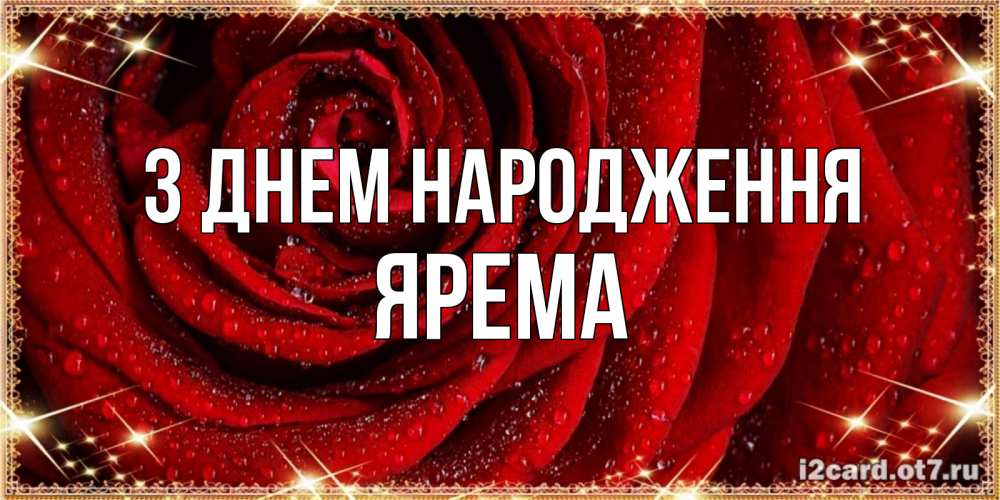 Открытка на каждый день з підписом, Ярема З Днем народження роса на розе блестящая в лучах солнца Прикольна листівка з побажанням онлайн скачати безкоштовно 