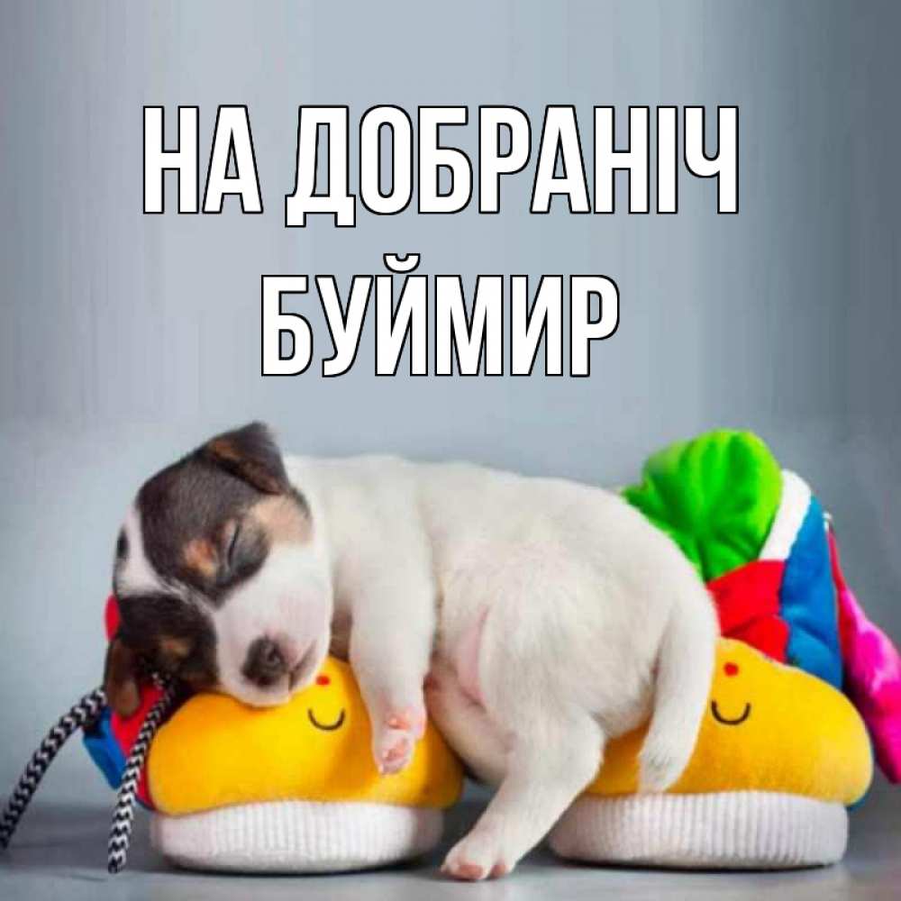 Открытка на каждый день з підписом, Буймир На добраніч собачка Прикольна листівка з побажанням онлайн скачати безкоштовно 