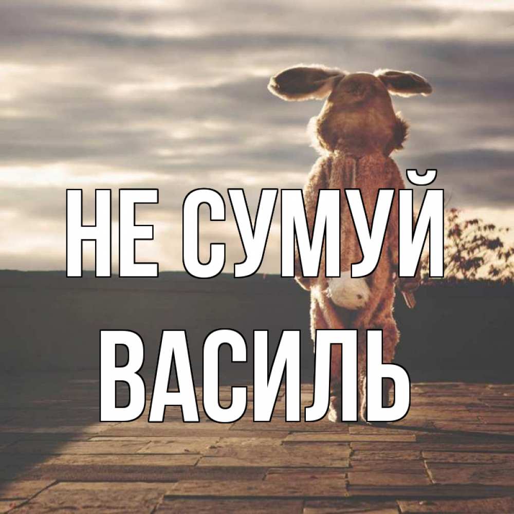 Открытка на каждый день з підписом, Василь Не сумуй со спины Прикольна листівка з побажанням онлайн скачати безкоштовно 