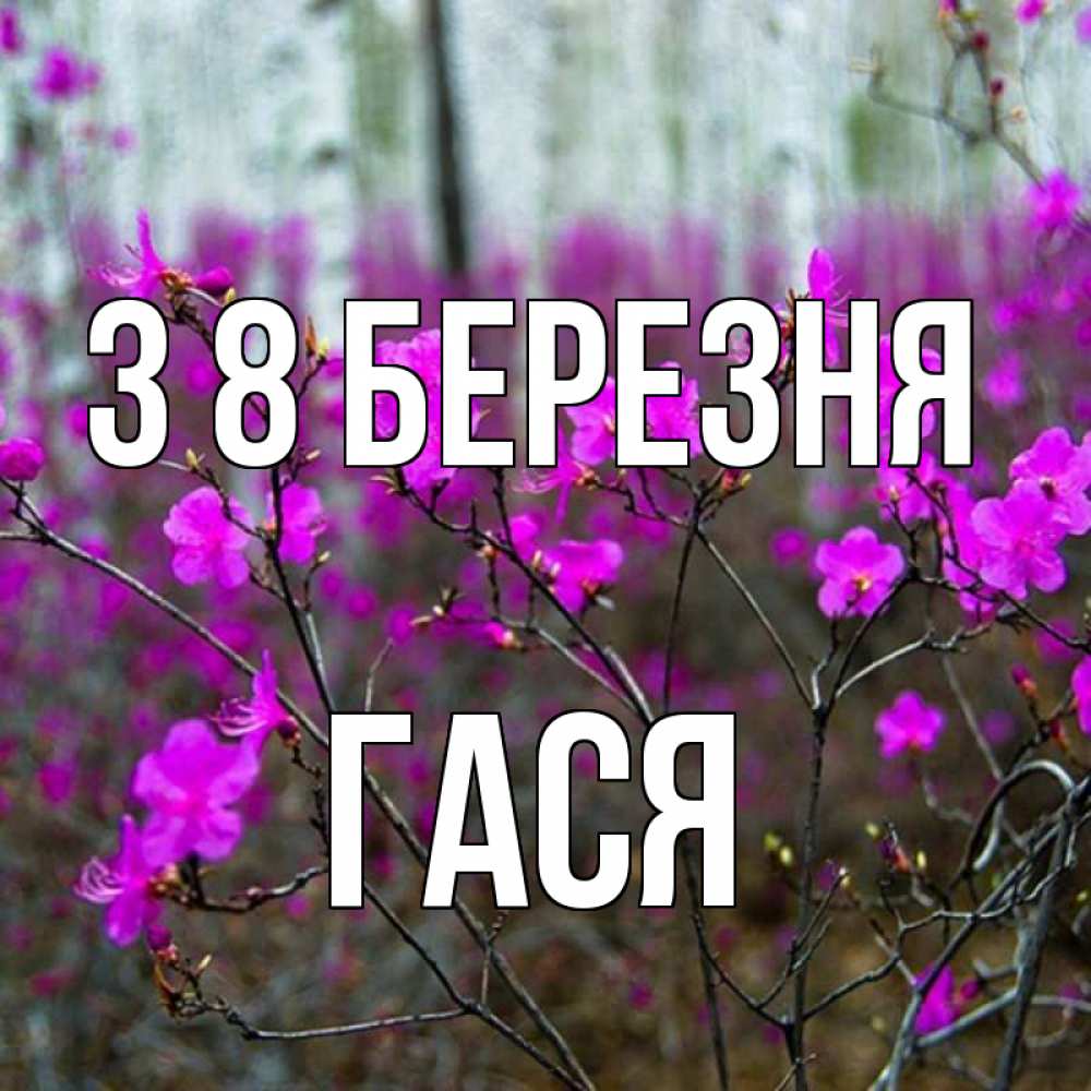 Открытка на каждый день з підписом, Гася З 8 БЕРЕЗНЯ дикие цветы Прикольна листівка з побажанням онлайн скачати безкоштовно 