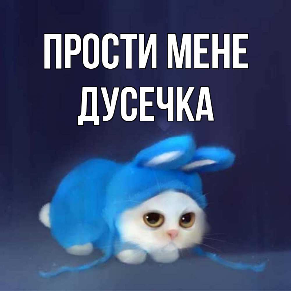 Открытка на каждый день з підписом, Дусечка Прости мене невинный котозай просит прощения Прикольна листівка з побажанням онлайн скачати безкоштовно 