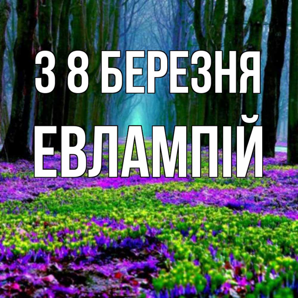 Открытка на каждый день з підписом, Евлампій З 8 БЕРЕЗНЯ фиолетовые цветы в лесу 1 Прикольна листівка з побажанням онлайн скачати безкоштовно 