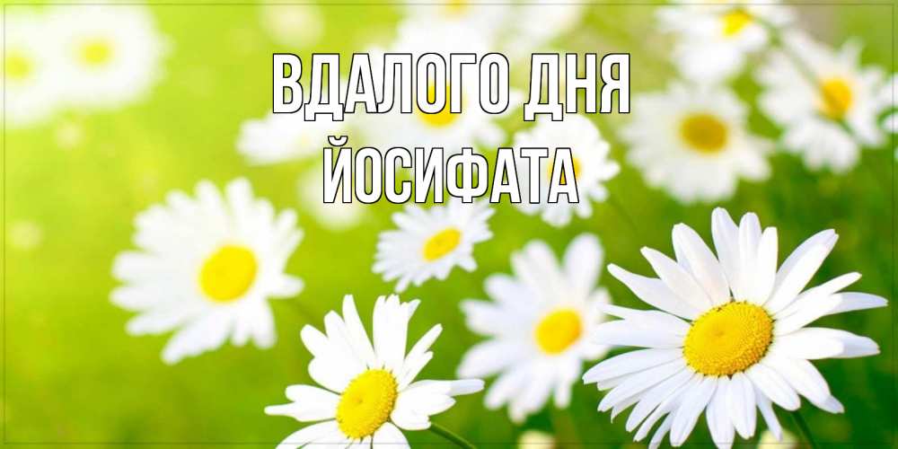 Открытка на каждый день з підписом, Йосифата Вдалого дня открытка с ромашками на зеленом фоне Прикольна листівка з побажанням онлайн скачати безкоштовно 