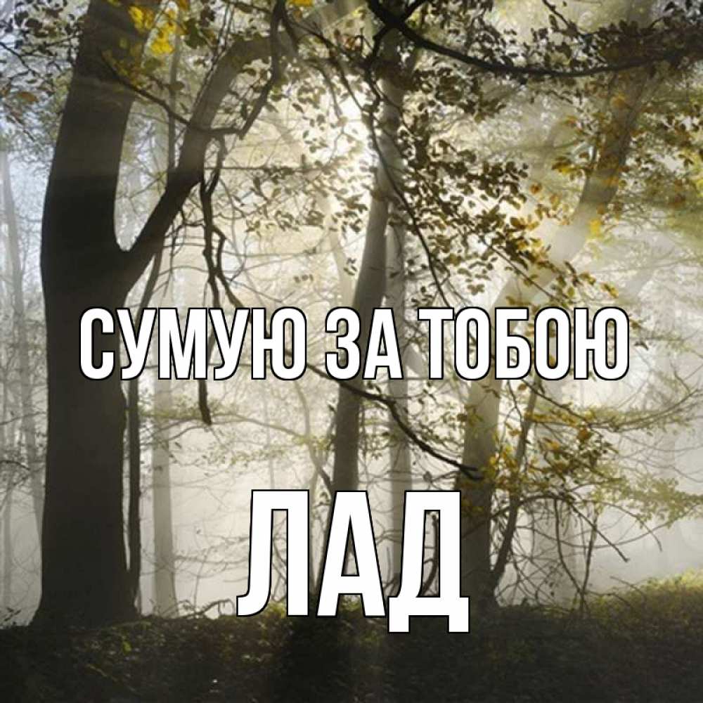 Открытка на каждый день з підписом, Лад Сумую за тобою грустно Прикольна листівка з побажанням онлайн скачати безкоштовно 