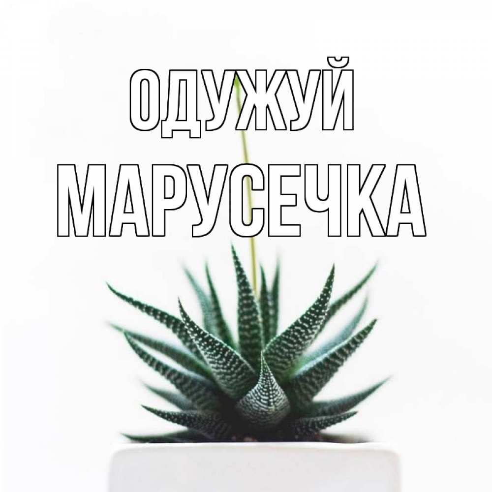 Открытка на каждый день з підписом, Марусечка Одужуй короче это непонятная колючка Прикольна листівка з побажанням онлайн скачати безкоштовно 