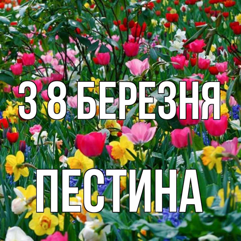 Открытка на каждый день з підписом, Пестина З 8 БЕРЕЗНЯ с международным женским днем поздравления для женщины Прикольна листівка з побажанням онлайн скачати безкоштовно 