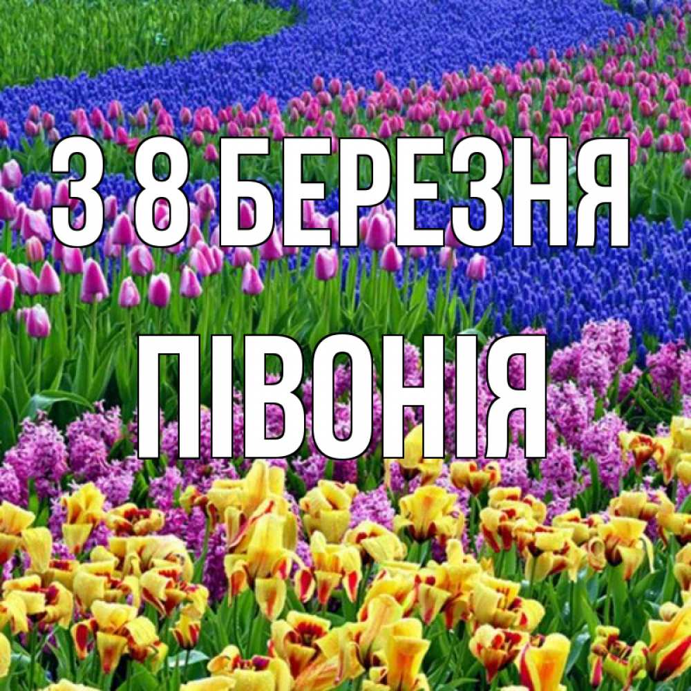 Открытка на каждый день з підписом, Півонія З 8 БЕРЕЗНЯ цветы Прикольна листівка з побажанням онлайн скачати безкоштовно 