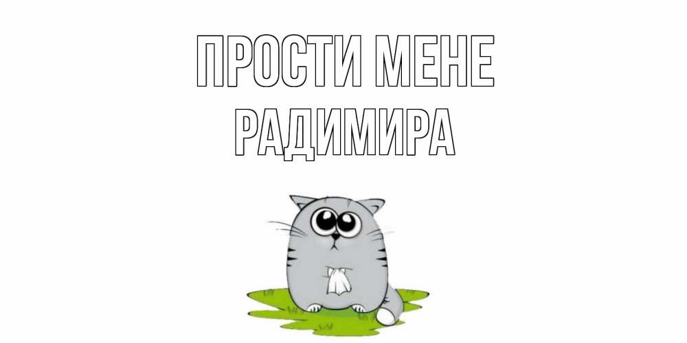 Открытка на каждый день з підписом, Радимира Прости мене открытка с котиком просящим прощения Прикольна листівка з побажанням онлайн скачати безкоштовно 
