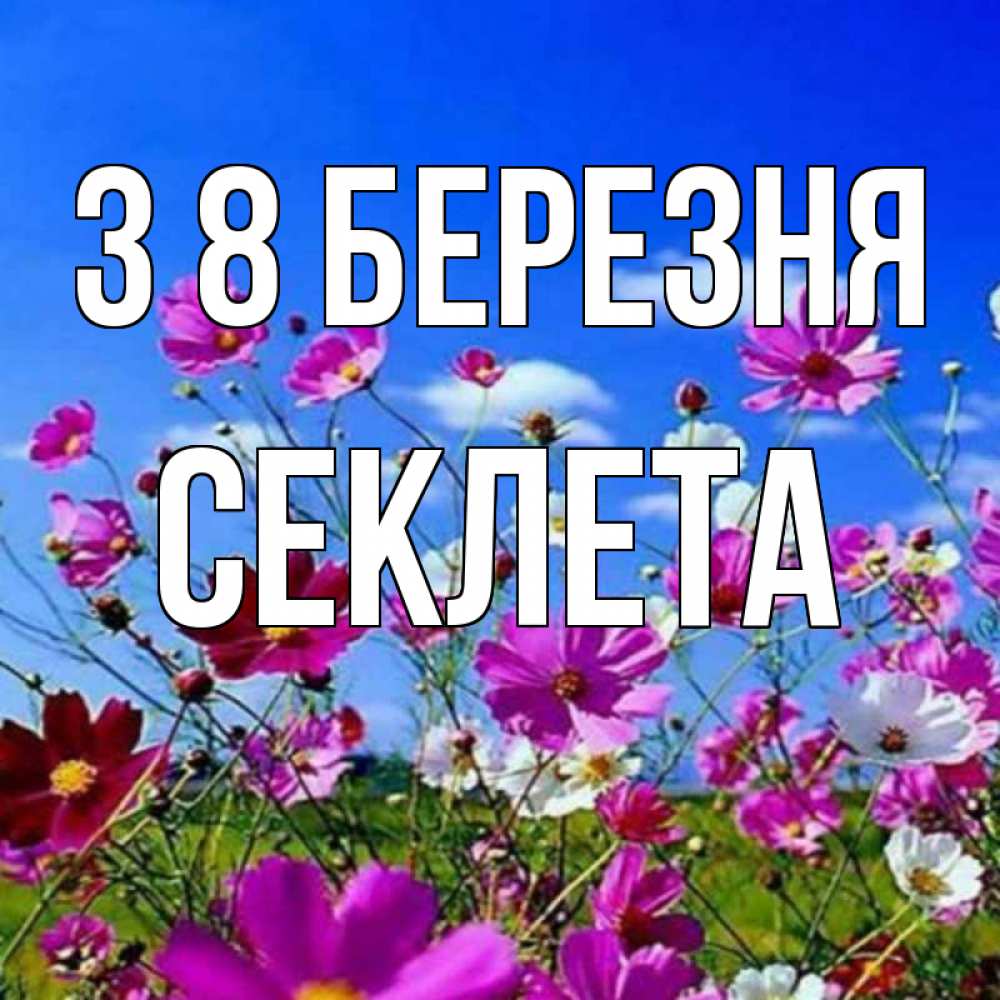 Открытка на каждый день з підписом, Секлета З 8 БЕРЕЗНЯ цветы Прикольна листівка з побажанням онлайн скачати безкоштовно 