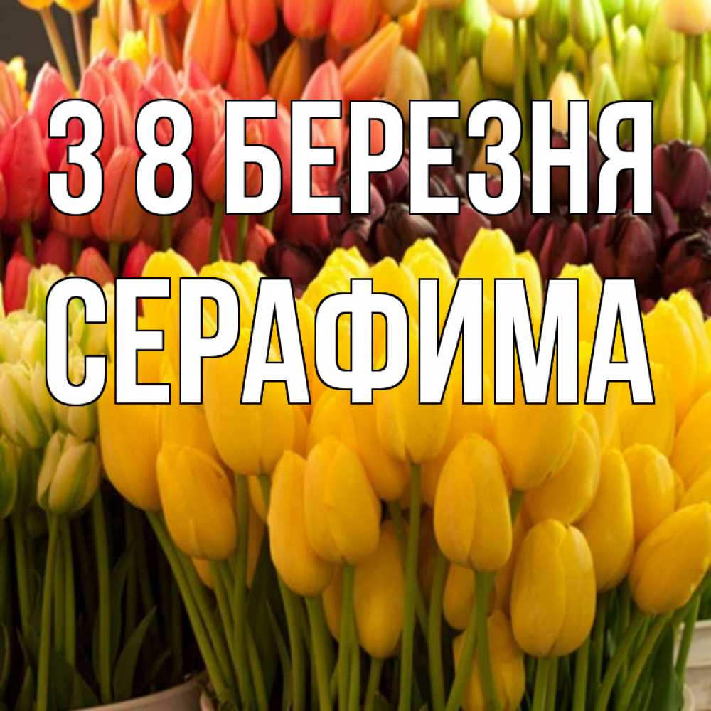 Открытка на каждый день з підписом, Серафима З 8 БЕРЕЗНЯ цветы Прикольна листівка з побажанням онлайн скачати безкоштовно 