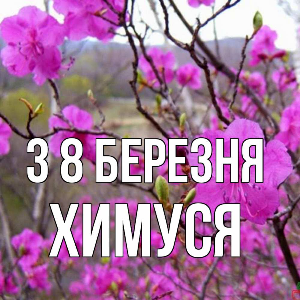 Открытка на каждый день з підписом, Химуся З 8 БЕРЕЗНЯ международный женский день Прикольна листівка з побажанням онлайн скачати безкоштовно 