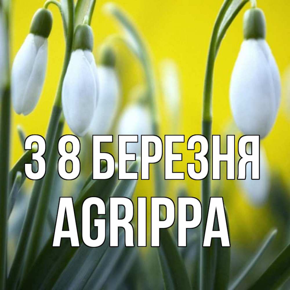 Открытка на каждый день з підписом, Agrippa З 8 БЕРЕЗНЯ весенние цветы Прикольна листівка з побажанням онлайн скачати безкоштовно 