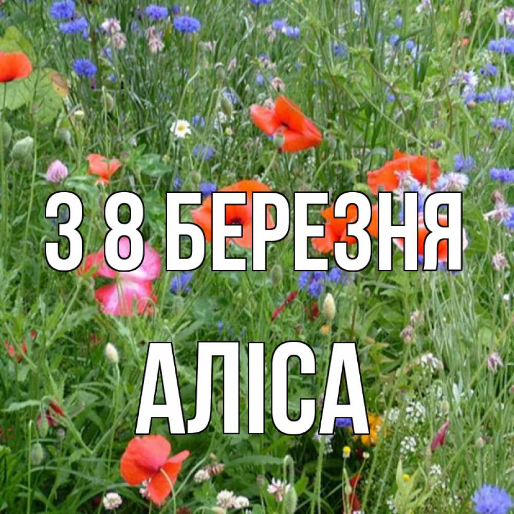 Открытка на каждый день з підписом, Аліса З 8 БЕРЕЗНЯ международный женский день 4 Прикольна листівка з побажанням онлайн скачати безкоштовно 