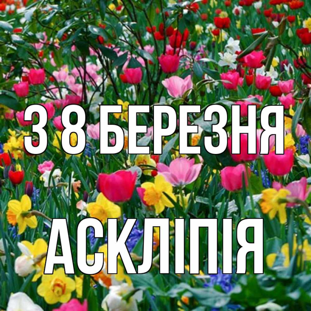 Открытка на каждый день з підписом, Аскліпія З 8 БЕРЕЗНЯ с международным женским днем поздравления для женщины Прикольна листівка з побажанням онлайн скачати безкоштовно 