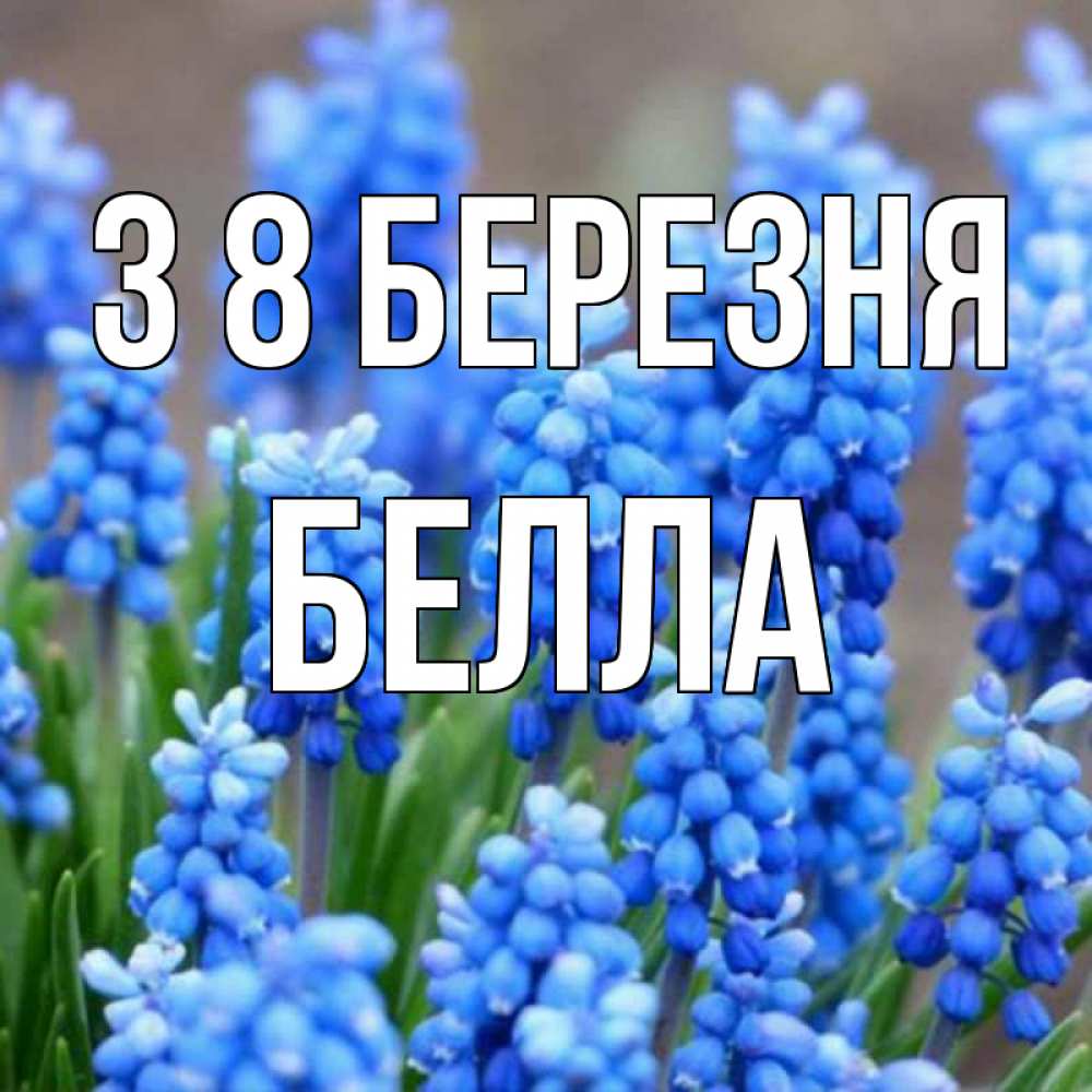 Открытка на каждый день з підписом, Белла З 8 БЕРЕЗНЯ Поздравительная открытка для женщин с цветами на праздничную дату Прикольна листівка з побажанням онлайн скачати безкоштовно 