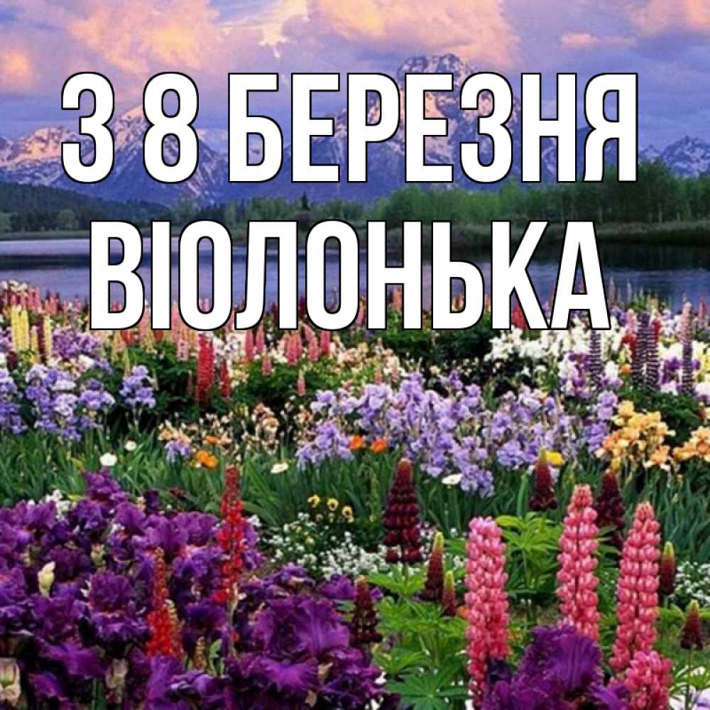 Открытка на каждый день з підписом, Віолонька З 8 БЕРЕЗНЯ международный женский день Прикольна листівка з побажанням онлайн скачати безкоштовно 