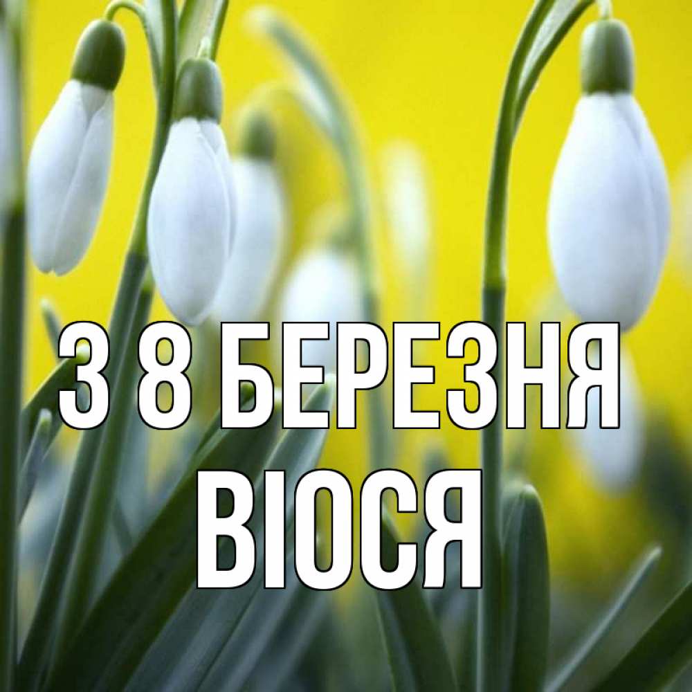 Открытка на каждый день з підписом, Віося З 8 БЕРЕЗНЯ весенние цветы Прикольна листівка з побажанням онлайн скачати безкоштовно 
