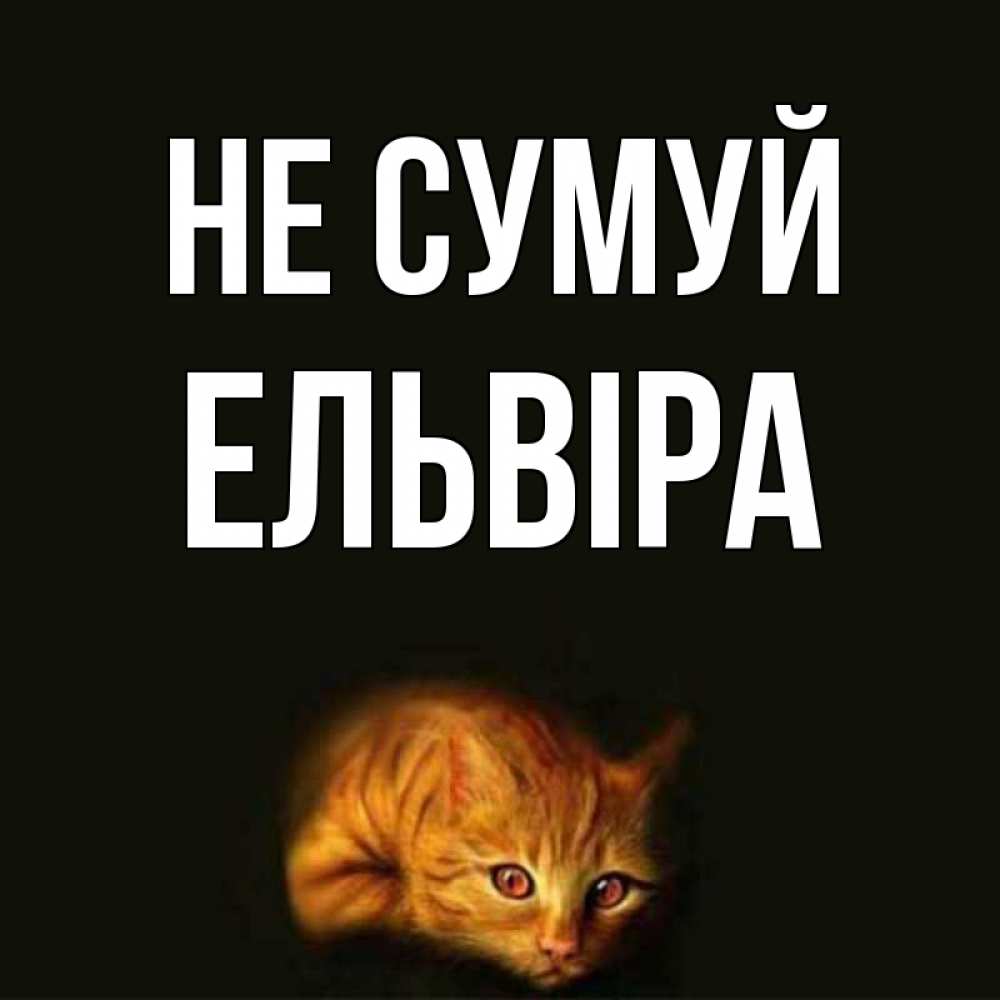 Открытка на каждый день з підписом, Ельвіра Не сумуй лежащий кот в темноте Прикольна листівка з побажанням онлайн скачати безкоштовно 