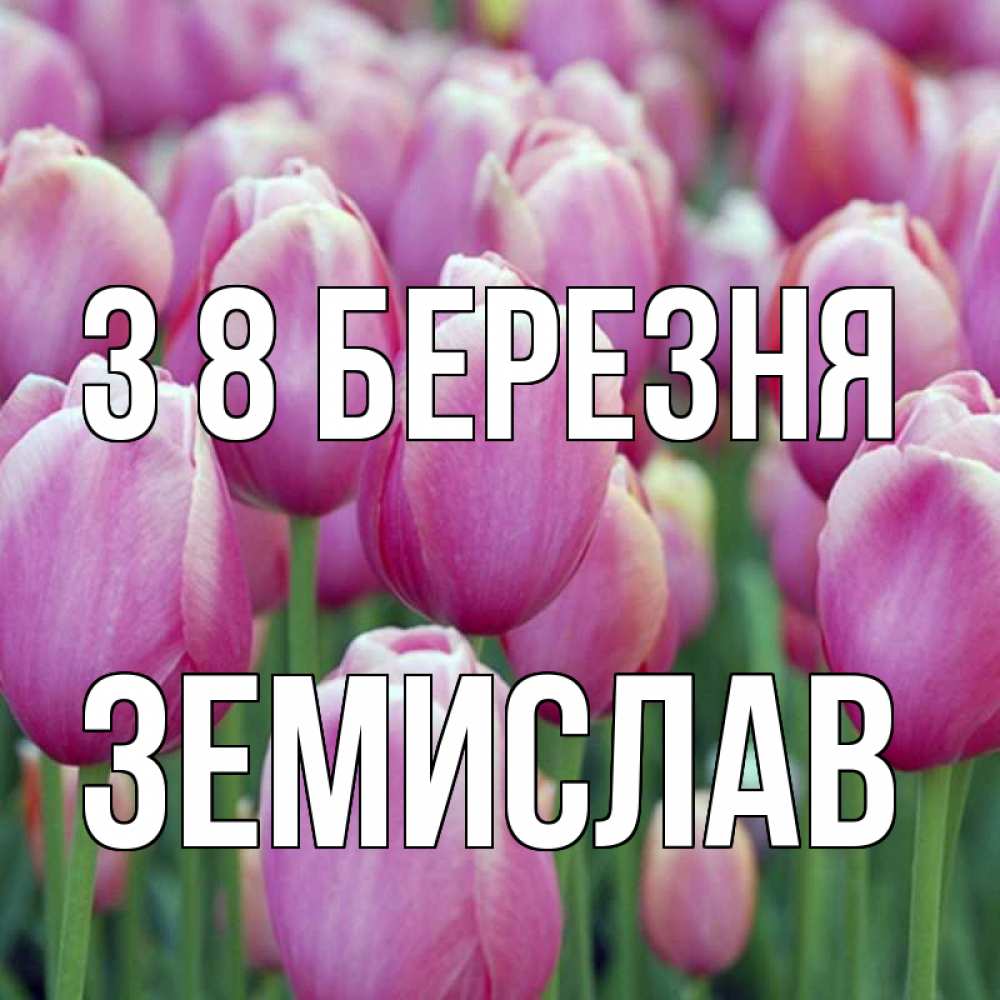 Открытка на каждый день з підписом, Земислав З 8 БЕРЕЗНЯ на международный женский день 3 Прикольна листівка з побажанням онлайн скачати безкоштовно 