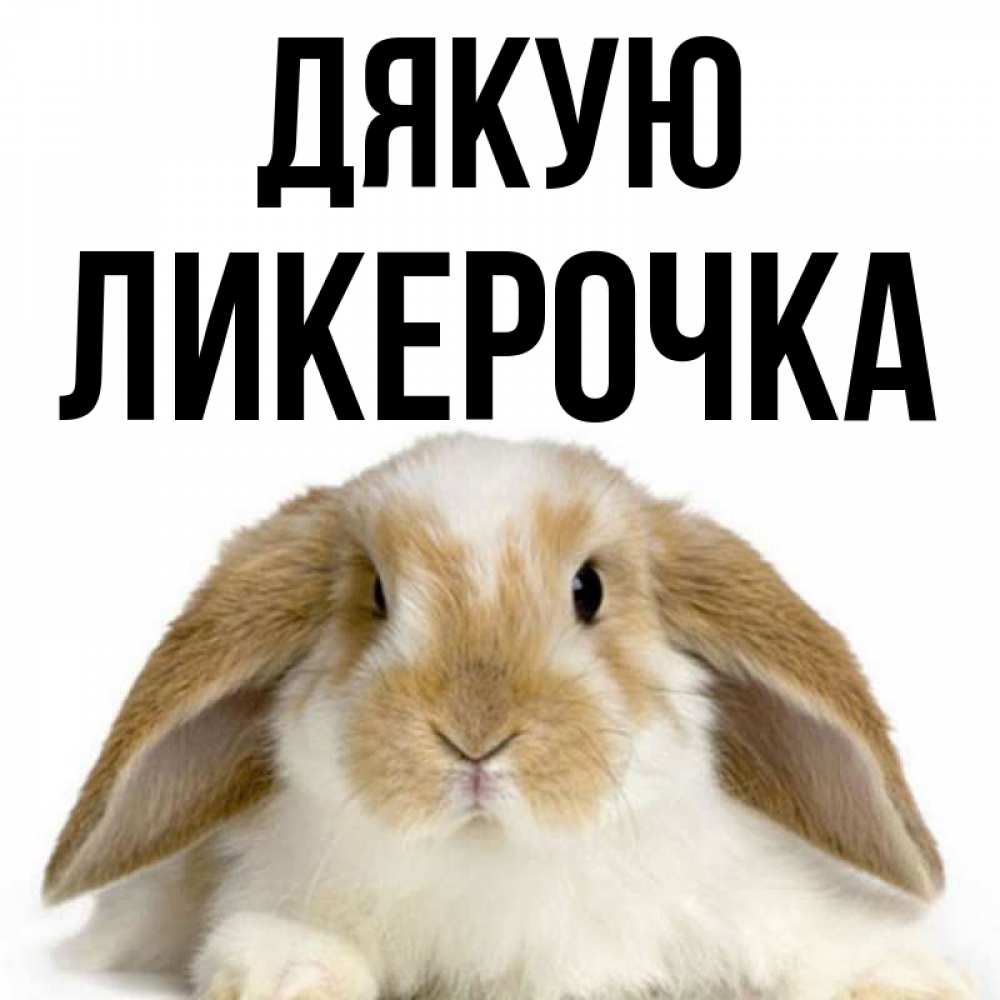 Открытка на каждый день з підписом, Ликерочка Дякую коричнево белый заяц Прикольна листівка з побажанням онлайн скачати безкоштовно 