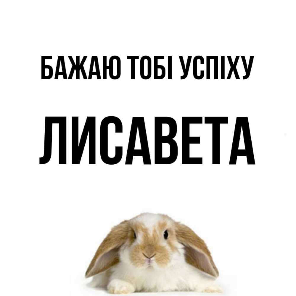 Открытка на каждый день з підписом, Лисавета Бажаю тобі успіху открытки с произвольным текстом который можно вставить в открытку и создать ее самостоятельно бесплатно онлайн Прикольна листівка з побажанням онлайн скачати безкоштовно 