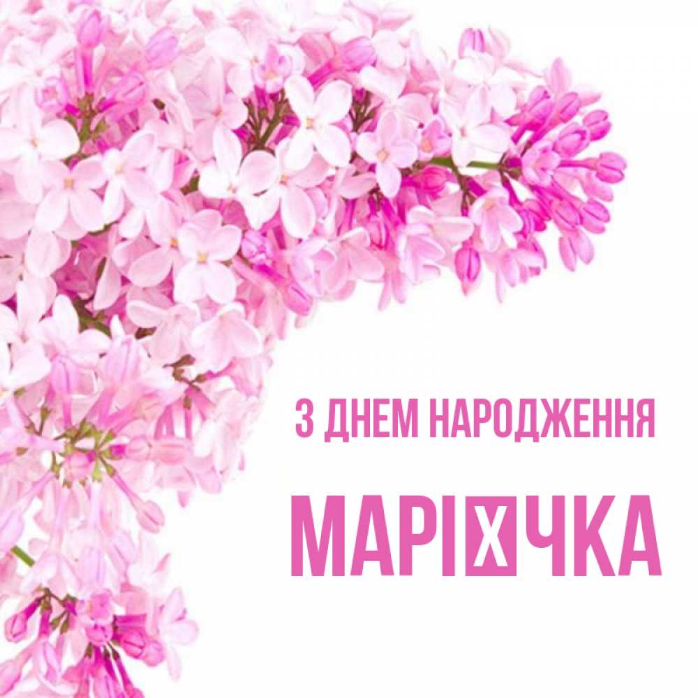 Открытка на каждый день з підписом, Марієчка З Днем народження Сирень на белом фоне Прикольна листівка з побажанням онлайн скачати безкоштовно 