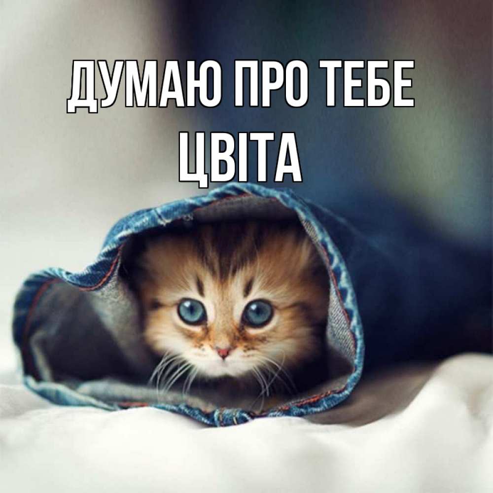 Открытка на каждый день з підписом, Цвіта Думаю про тебе мне без тебя плохо Прикольна листівка з побажанням онлайн скачати безкоштовно 