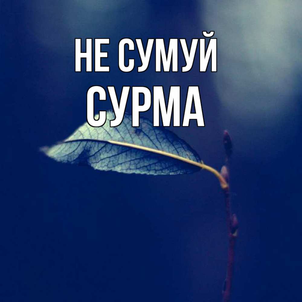 Открытка на каждый день з підписом, Сурма Не сумуй растение Прикольна листівка з побажанням онлайн скачати безкоштовно 