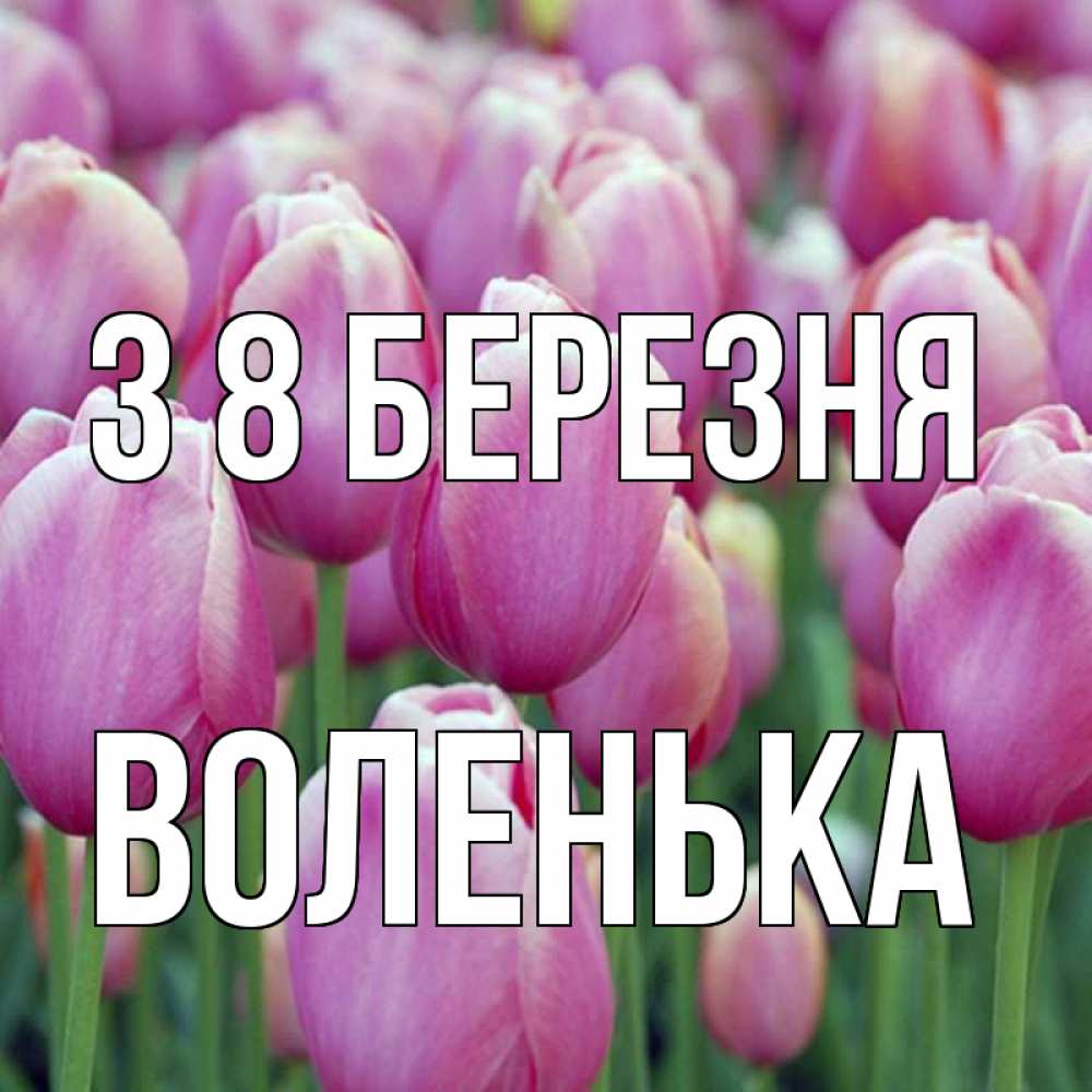 Открытка на каждый день з підписом, Воленька З 8 БЕРЕЗНЯ на международный женский день 3 Прикольна листівка з побажанням онлайн скачати безкоштовно 