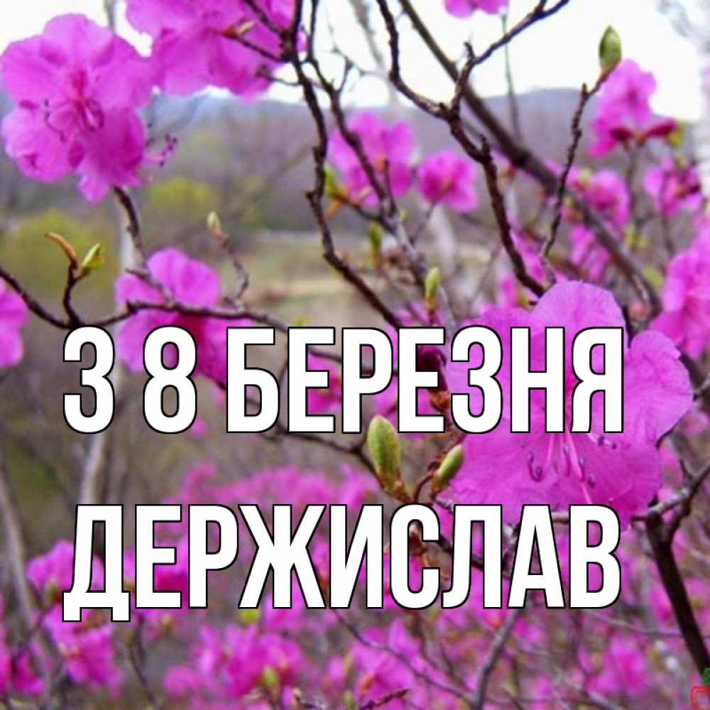 Открытка на каждый день з підписом, Держислав З 8 БЕРЕЗНЯ международный женский день Прикольна листівка з побажанням онлайн скачати безкоштовно 
