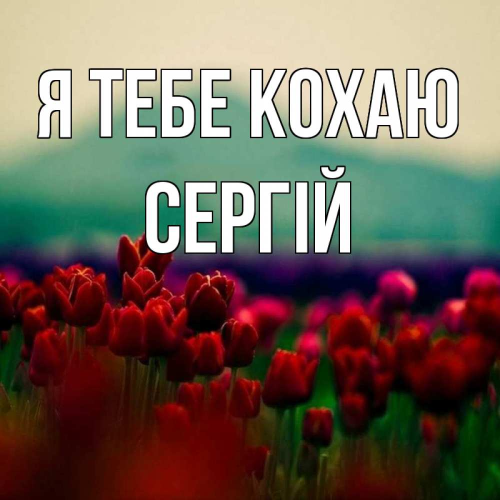 Открытка на каждый день з підписом, Сергій Я тебе кохаю тюльпаны 4 Прикольна листівка з побажанням онлайн скачати безкоштовно 