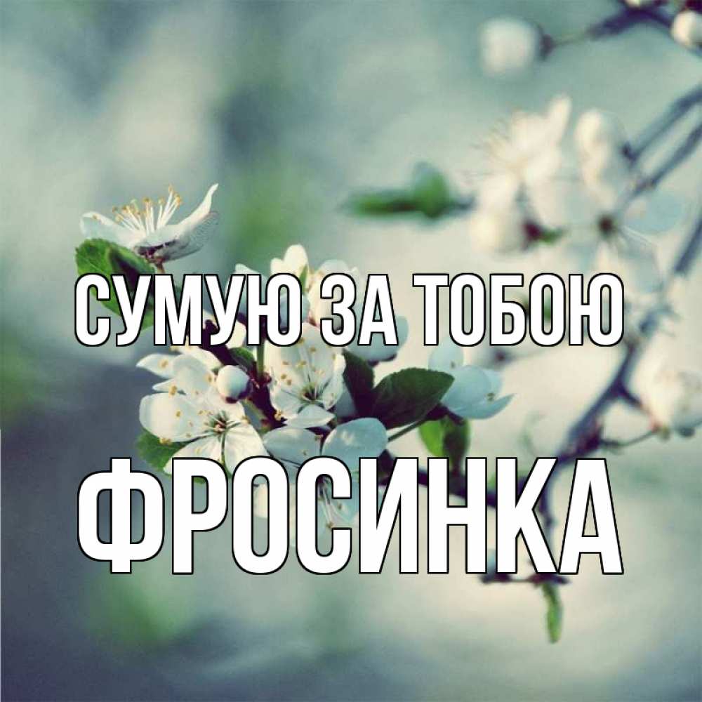 Открытка на каждый день з підписом, Фросинка Сумую за тобою весна Прикольна листівка з побажанням онлайн скачати безкоштовно 