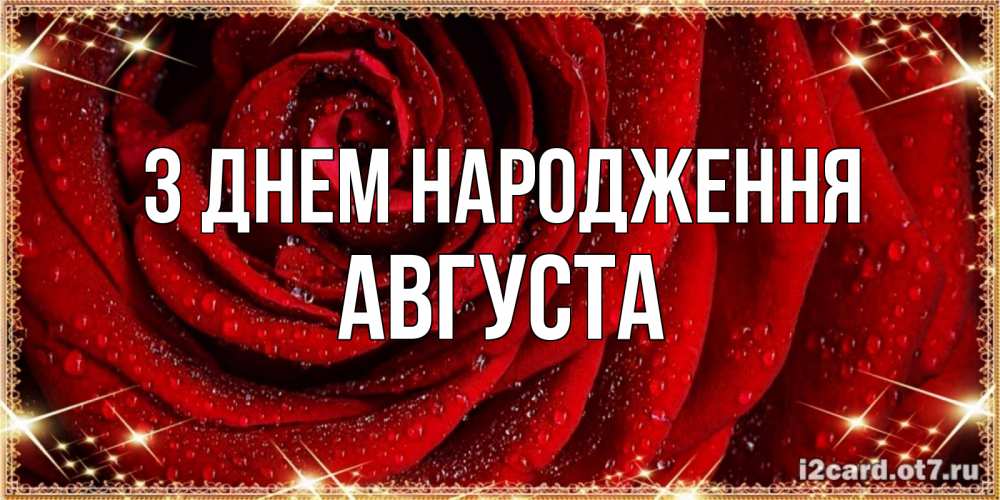 Открытка на каждый день з підписом, Августа З Днем народження роса на розе блестящая в лучах солнца Прикольна листівка з побажанням онлайн скачати безкоштовно 