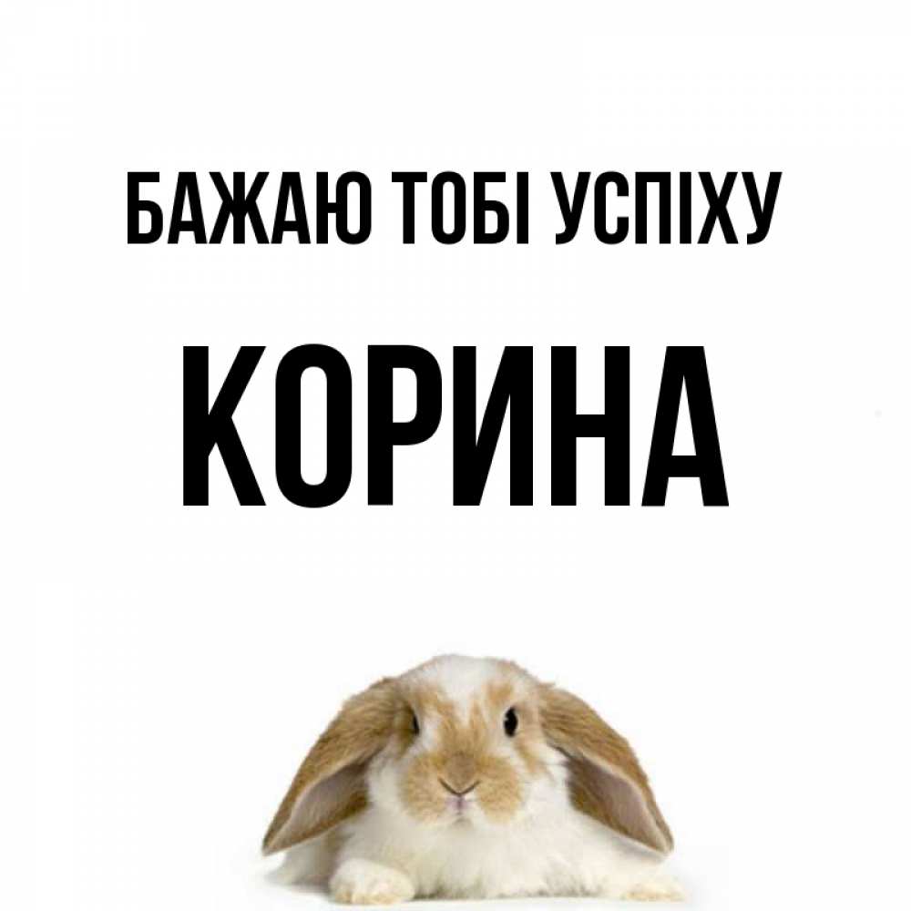 Открытка на каждый день з підписом, Корина Бажаю тобі успіху открытки с произвольным текстом который можно вставить в открытку и создать ее самостоятельно бесплатно онлайн Прикольна листівка з побажанням онлайн скачати безкоштовно 