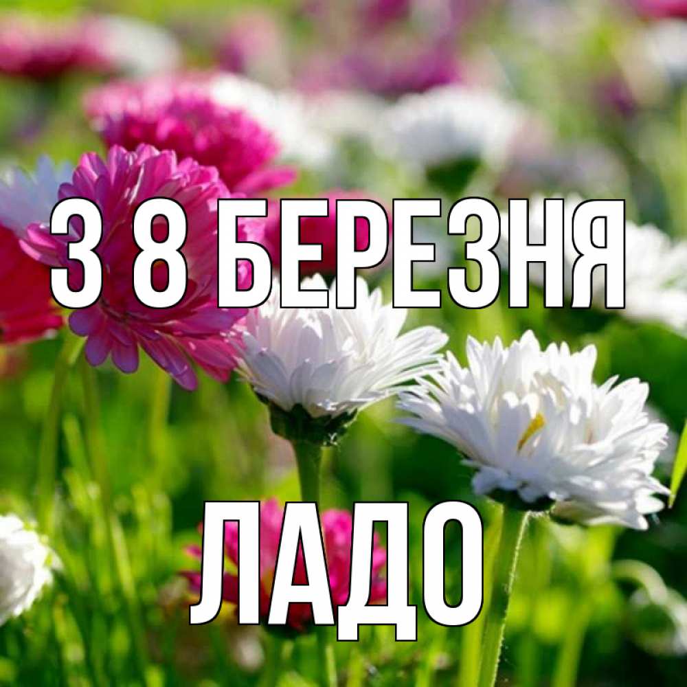 Открытка на каждый день з підписом, Ладо З 8 БЕРЕЗНЯ международный женский день 1 Прикольна листівка з побажанням онлайн скачати безкоштовно 