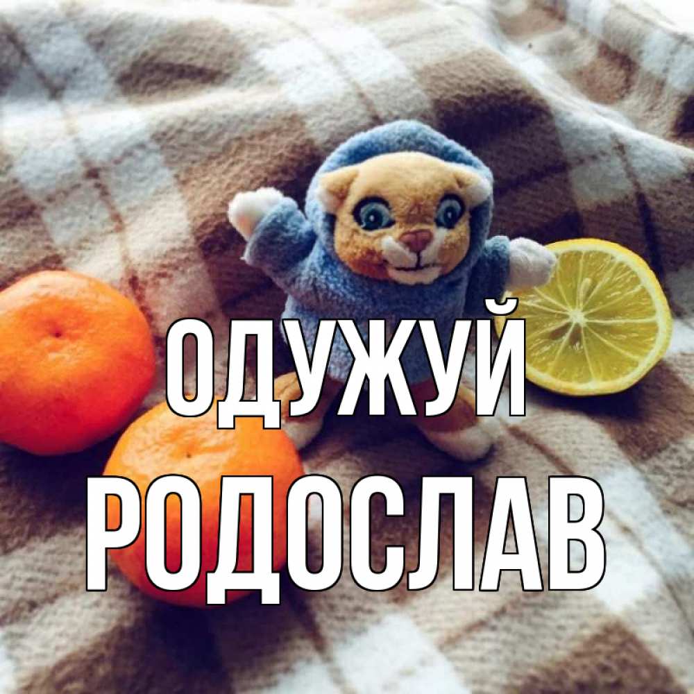 Открытка на каждый день з підписом, Родослав Одужуй вот тебе апельсинка и лимон Прикольна листівка з побажанням онлайн скачати безкоштовно 