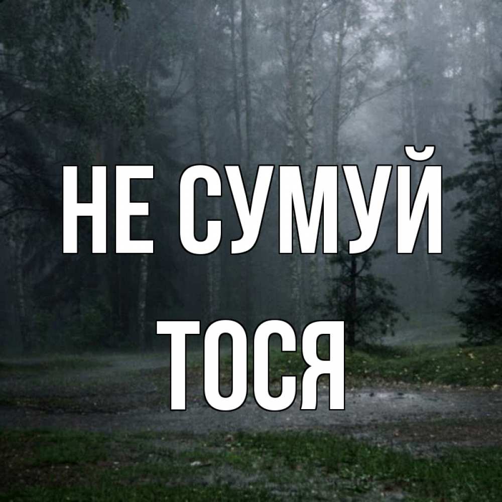 Открытка на каждый день з підписом, Тося Не сумуй осень Прикольна листівка з побажанням онлайн скачати безкоштовно 
