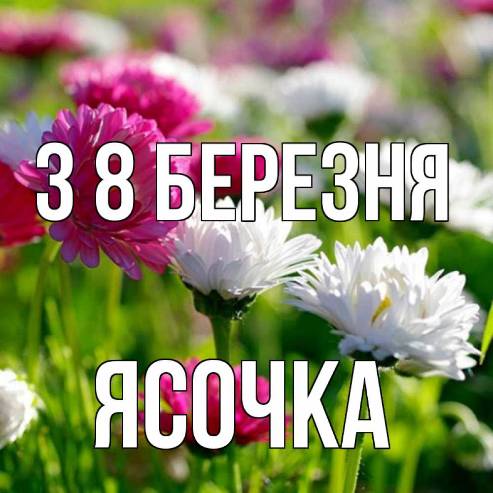 Открытка на каждый день з підписом, Ясочка З 8 БЕРЕЗНЯ международный женский день 1 Прикольна листівка з побажанням онлайн скачати безкоштовно 