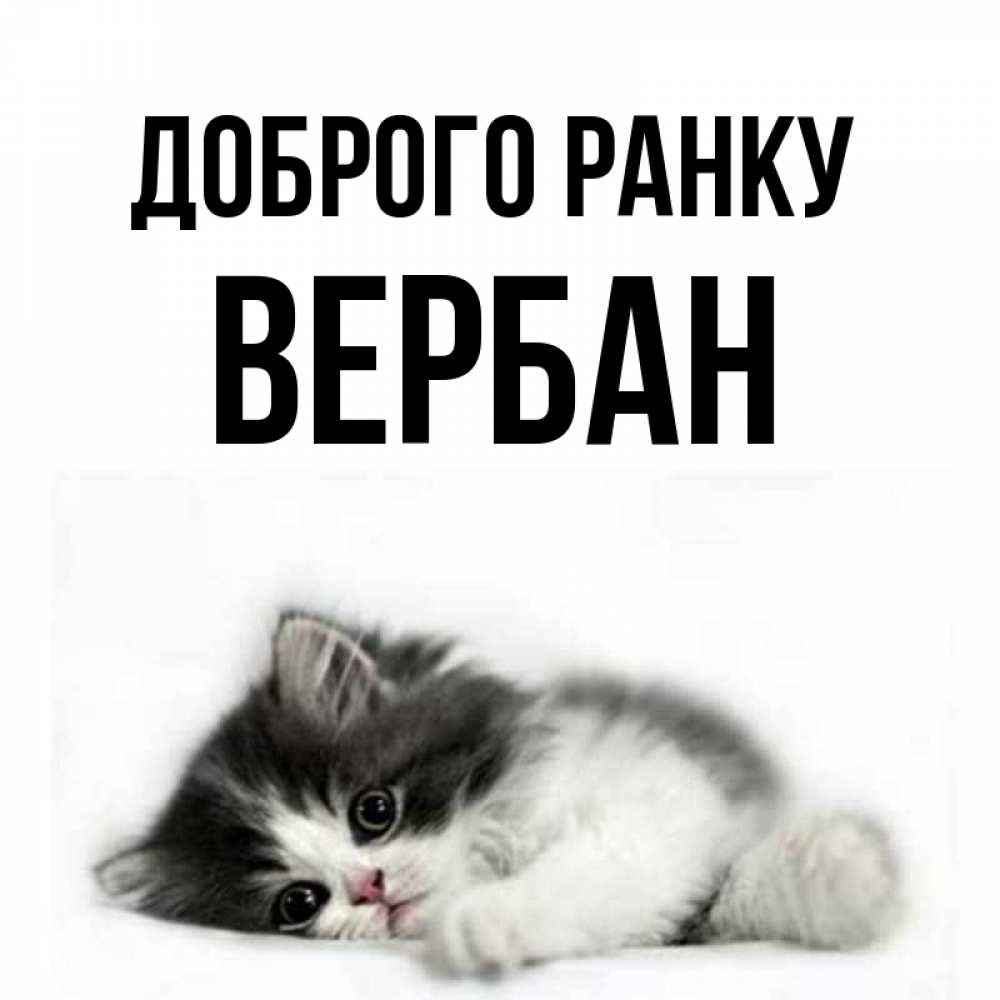 Открытка на каждый день з підписом, Вербан Доброго ранку кот лапки Прикольна листівка з побажанням онлайн скачати безкоштовно 