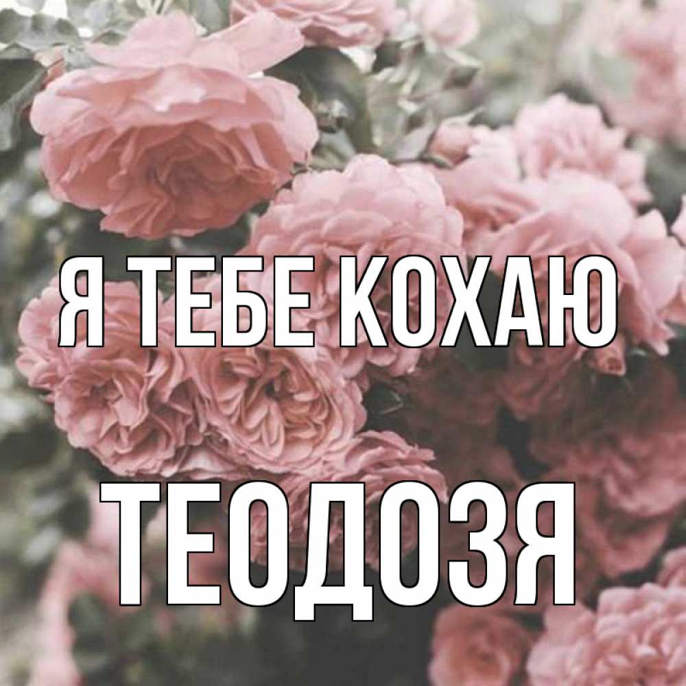 Открытка на каждый день з підписом, Теодозя Я тебе кохаю розы 3 Прикольна листівка з побажанням онлайн скачати безкоштовно 
