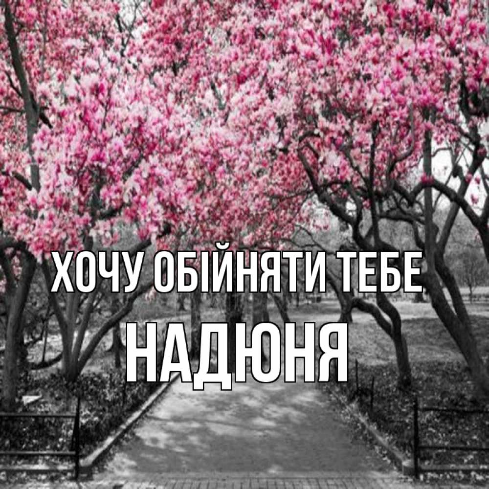 Открытка на каждый день з підписом, Надюня Хочу обійняти тебе обработанное фото Прикольна листівка з побажанням онлайн скачати безкоштовно 