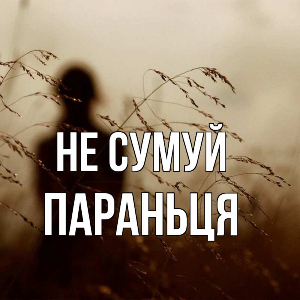 Открытка на каждый день з підписом, Параньця Не сумуй грусть Прикольна листівка з побажанням онлайн скачати безкоштовно 