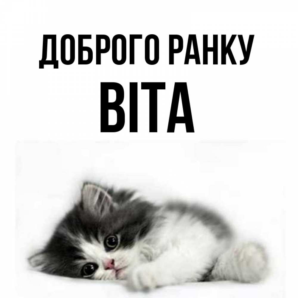 Открытка на каждый день з підписом, Віта Доброго ранку кот лапки Прикольна листівка з побажанням онлайн скачати безкоштовно 