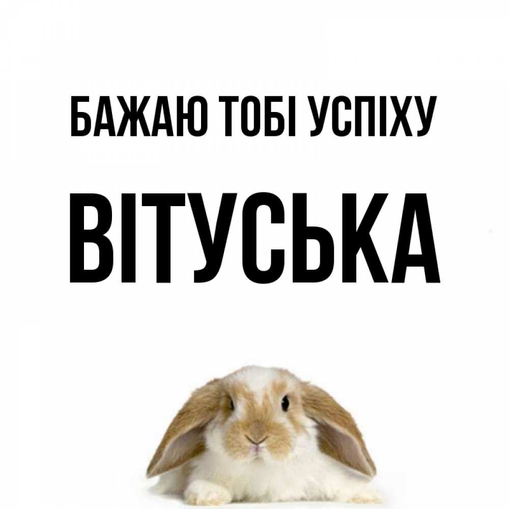 Открытка на каждый день з підписом, Вітуська Бажаю тобі успіху открытки с произвольным текстом который можно вставить в открытку и создать ее самостоятельно бесплатно онлайн Прикольна листівка з побажанням онлайн скачати безкоштовно 